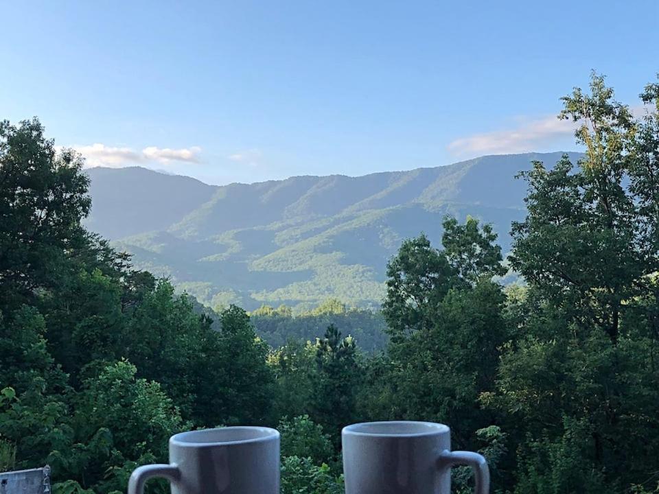 Tennessee Roots By Stony Brook Cabins 개틀린버그 외부 사진